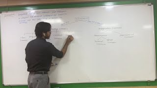 Isomerism  Structural Isomerism  JEE  NEET [upl. by Doreg]