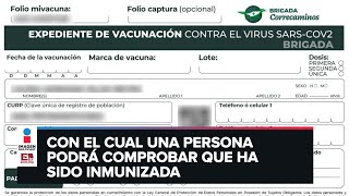 ¿Cómo obtener el certificado de vacunación covid [upl. by Nike]