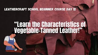 Leather Work Beginner Course Day 12 Lets Learn the Characteristics of VegetableTanned Leather [upl. by Bendite502]