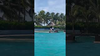 Dolphins show  Dolphinaris Barcelo Riviera Maya [upl. by Let]