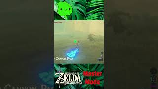 Zelda BOTW  Rain rain go away zelda shortsfeed [upl. by Vladimir]