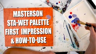 Testing Masterson StaWet Palette  My first impressions and how to use [upl. by Kassi]