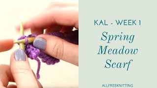 Knit Along Spring Meadow Scarf Week 1 [upl. by Brittan]