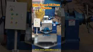 Palm Kernel Oil Press Machine palmkerneloilpalmoilmill palmoilplantation palmoil palmoilmachine [upl. by Flori]