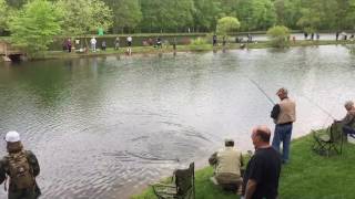 Anson B Nixon Park Trout Rodeo 05052017 [upl. by Kreager]