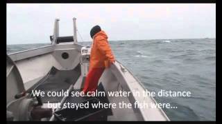 Salmon Drift Net Fishing in Cook Inlet Alaska on the FV Nights Edge [upl. by Saimon]