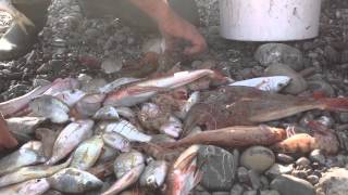 I Pescatori di Roseto Capo Spulico [upl. by Oilla]