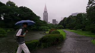 激しい雨の新宿御苑を1時間【4K】 [upl. by Adnarram]