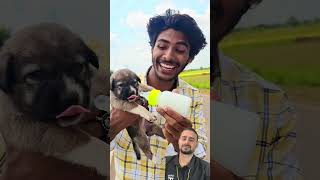 चलती🏍️गाड़ी में kutta🐶बनना funny dog new [upl. by Ahtnamys651]