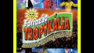 Forrozão Tropykália Vol 8 [upl. by Web]