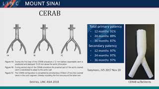 Available Therapies For Iliac Disease With Distal Aortic Involvement [upl. by Bobseine]