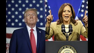 Noticiero 5pm ¿Qué dicen las últimas encuestas Harris vs Trump [upl. by Atirat]