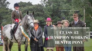 Class Forty Three Champion Working Hunter Pony  98th Annual Connemara Pony Show [upl. by Notserp779]