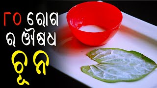 କେବଳ ଚୂନ ଏହି ୮୦ ଟି ରୋଗ ଭଲ କରିଦେଇଥାଏ  Gharoi Chikitsa  Ayurveda  Odia Health Tips [upl. by Paget]