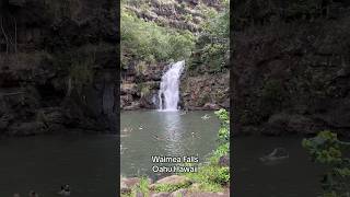 Waimea Falls Oahu Hawaii [upl. by Nagy]