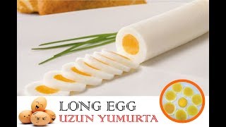 uzun yumurta orjinal ev yapımı Long Egg Production 2 speriment إنتاج البيض طويل [upl. by Ardelis63]