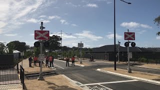 New Signals Heysen Blvd Level Crossing Update Mount Barker SA [upl. by Ayokahs]