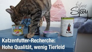 Katzenfutter Recherche – Hohe Qualität wenig Tierleid [upl. by Newol372]