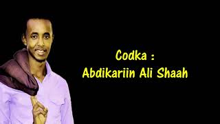 AbdiKariin Cali Shaah Hees Shidan  Afar Dhaan  Lyrics [upl. by Azne]