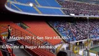 Se io se lei tedesco San Siro 2014 cantato da Nadia amp the Rabbits [upl. by Milano41]