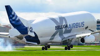 Airbus Beluga XL A330743L Landing at Chester Hawarden Airport [upl. by Auqinahs]