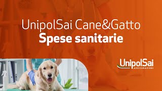 UnipolSai CneampGtto  spese sanitarie [upl. by Eelannej457]