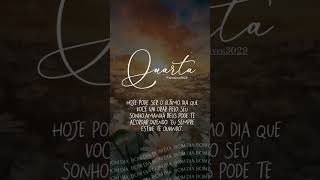 bomdia gratificante music frases mensagem grata gratidao [upl. by Ming286]