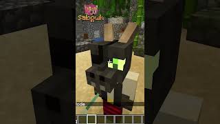 MOBS INCROYABLE POUR VOS SURVIES Kobolds  MINECRAFT [upl. by Neelyaj]