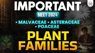 IMPORTANT PLANT FAMILIES FOR NEET 2024  MALVACEAE ASTERACEAE POACEAE  NEET BIOLOGY BY SANKALP [upl. by Ivory]