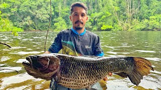 ESSE LUGAR É O LUGAR QUE MAIS TEM TRAIRÃO NA FACE DA TERRA Mato Grosso divisa com Pará [upl. by Yotal]