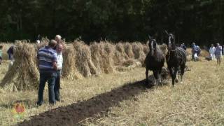 2010 Stoppelhaene Roggemaaiersdag Ploegen met paarden [upl. by Pahl]