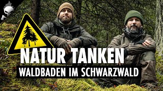 Der schönste Bannwald im Schwarzwald – NATUR TANKEN amp WALDBADEN [upl. by Fenwick]