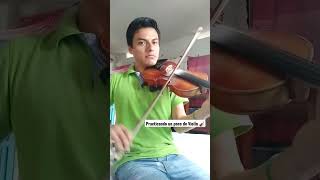 Las Trompetas del Diablo Violín 🎻Polka Jarana Huasteca huapangos arte ViolinViral virshort [upl. by Nnylidnarb]