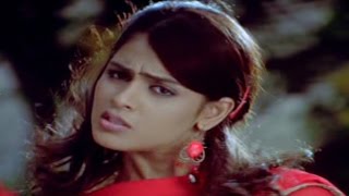 Mr Medhavi  Kallu Kallatho Video Song  Raja Genelia D Souza [upl. by Benia]