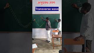 Animation shorts transverse waveclass11th physicsscience [upl. by Novj745]