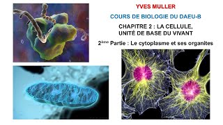 La cellule 4  Les organites [upl. by Mayram31]