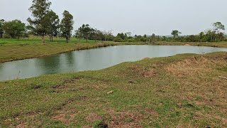 ESSE LUGAR SÓ TEM TRAIRÃO DE RESPEITO PESCA NO CANTINHO DAS TRAÍRAS GIGANTE [upl. by Vivica]