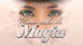 Como Arte De Magia VIDEO OFICIAL  La Fugitiva De Mike Miramontes [upl. by Moody]