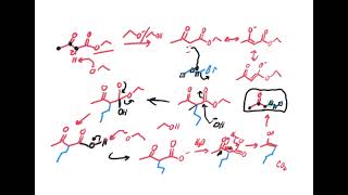 Acetoacetic ester synthesis [upl. by Annoerb97]