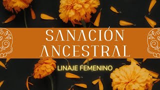 Meditación SANAR A LAS MUJERES DE NUESTRO CLAN [upl. by Acnairb]