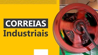 Correias Industriais Rexon são boas [upl. by Trovillion]