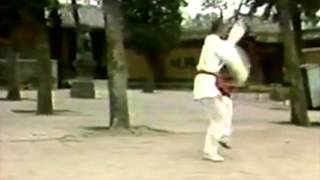 Shaolin Temple Kung Fu  Jing Gang Ba Shi [upl. by Stanley]