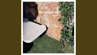 Nur wegen dir Softrock Session [upl. by Nylrahc]