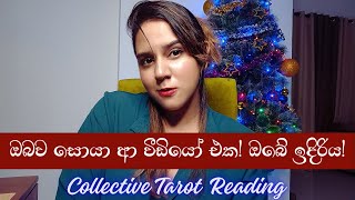 මේ Reading එක ඔයා ගැන නේද Collective Tarot Reading Sinhala [upl. by Nitaj768]