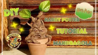 Harry Potter tutorial mandragola  Harry Potter Mandrake  Diy Harry Potter room decor [upl. by Wat208]