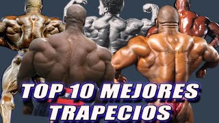 🌎💪TOP 10 MEJORES TRAPECIOS DE LA HISTORIA 🔥💪 [upl. by Enilrac]