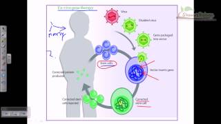 Gene therapy lecture 2  ex vivo gene therapy [upl. by Budge432]