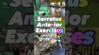 My Favorite Serratus Anterior Exercises for Neck and Shoulder Pain  Physical Therapy [upl. by Manthei]