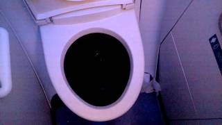 B737900ER Aircraft Lavatory [upl. by Avehs]