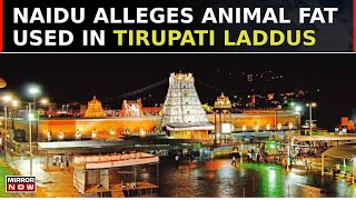 Tirupati Laddu Row Chandrababu Naidu Alleges Animal Fat Used In Tirupati Laddus  Top News [upl. by Otrebcire]